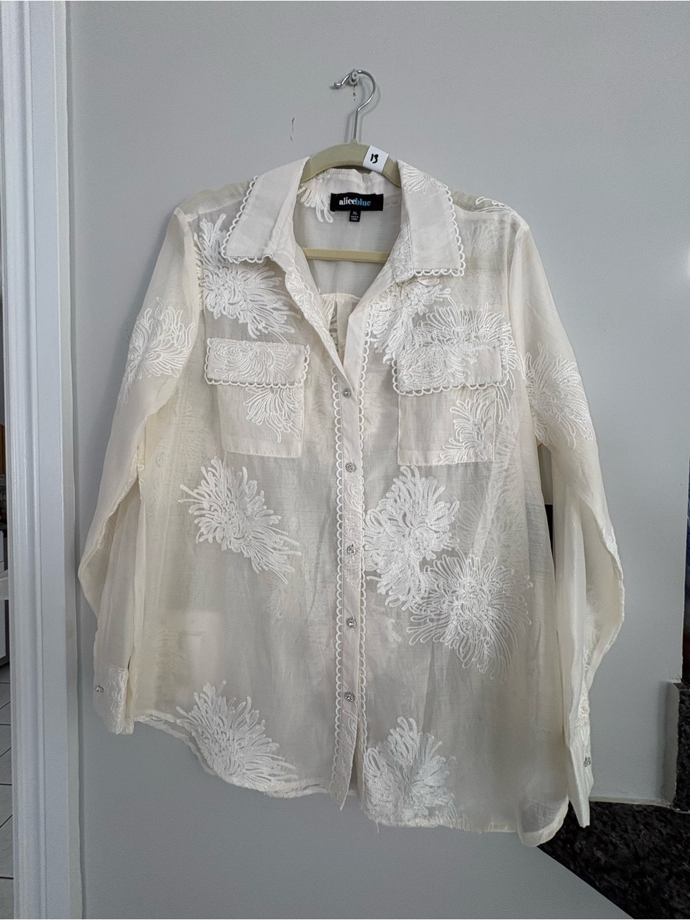 Alice Blue Ivory Embroidered Sheer Button-Down Shirt